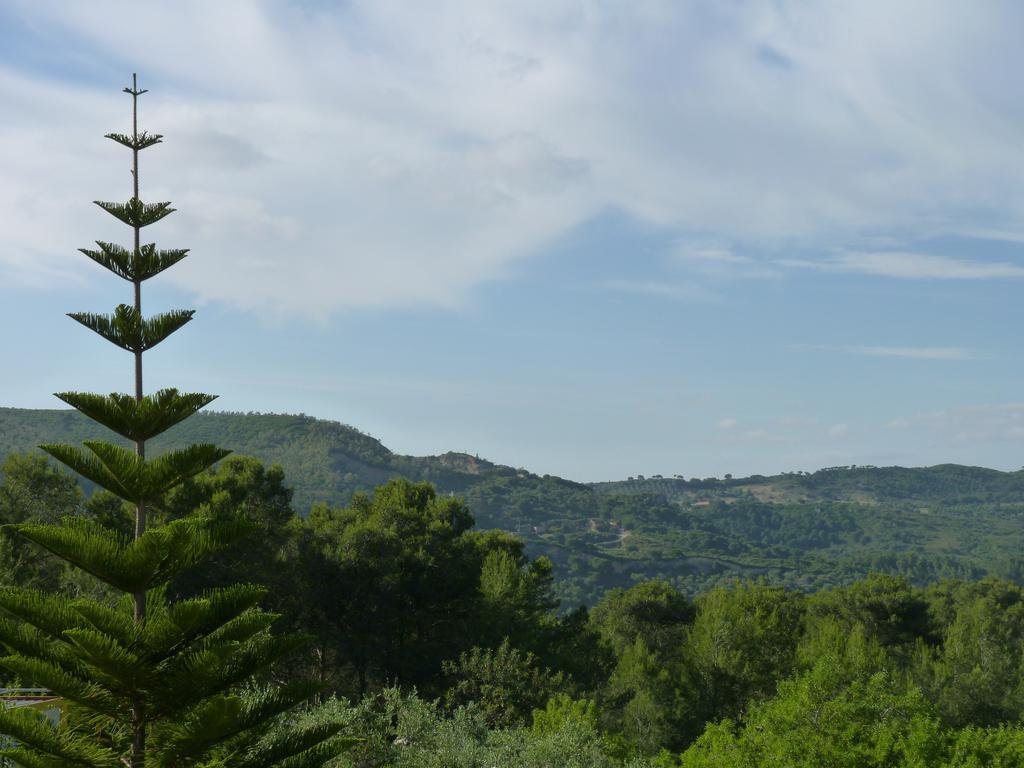 Casal Das Oliveiras Setubal Exterior photo
