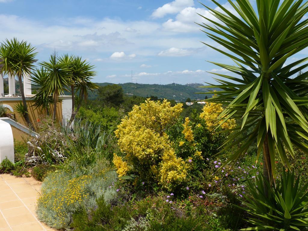 Casal Das Oliveiras Setubal Exterior photo